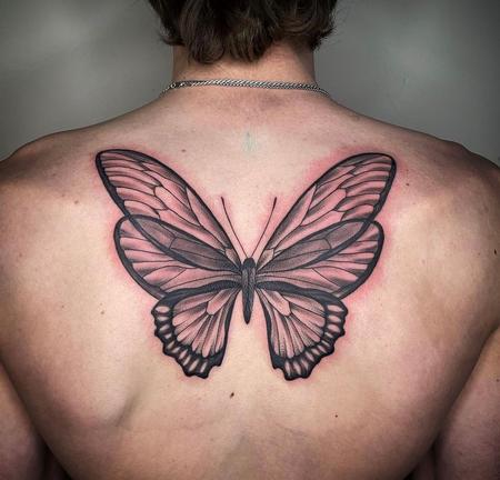 Nature Animal Butterfly - Dayton Smith Butterfly Backpiece